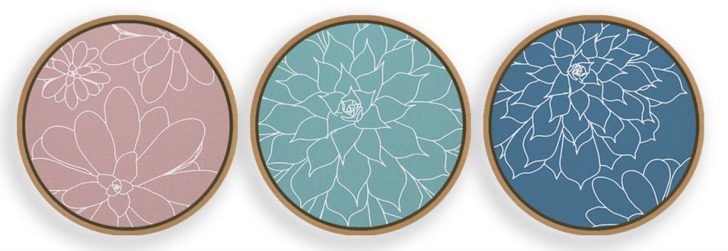 Multicolor Succulent Framed Wall Art (Set of 3), Botanical Art, Nature Art, Modern Art