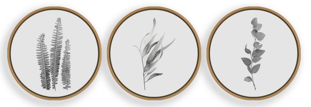 Black and White Plant Framed Wall Art (Set of 3), Botanical Art, Nature Art, Modern Art