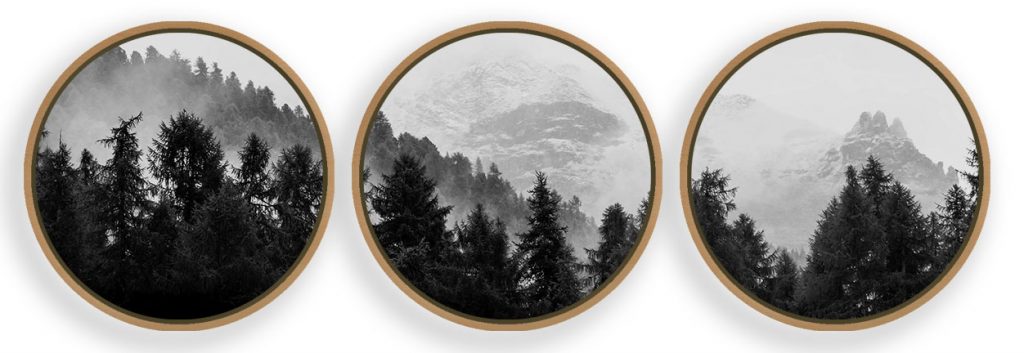 Forest Framed Wall Art (Set of 3), Black and White Minimalist, Nature Art, Modern Art