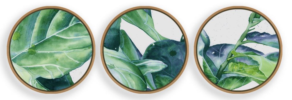 Monstera Leaf Watercolor Framed Wall Art (Set of 3), Nature Art, Minimalist, Botanical