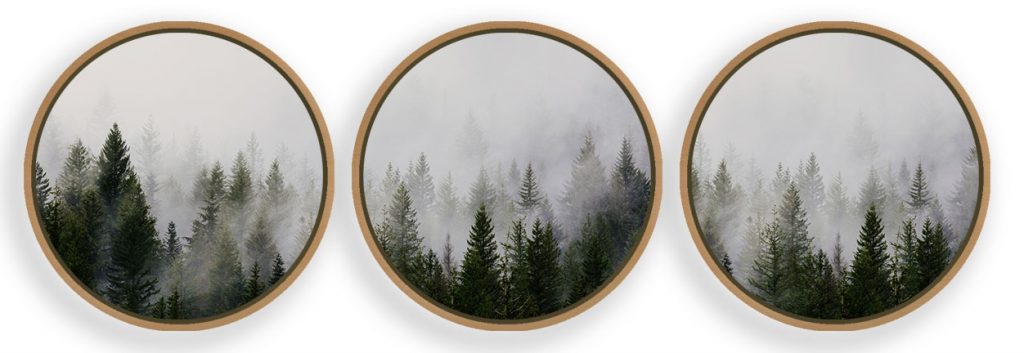 Misty Forest Framed Wall Art (Set of 3), Nature Art, Modern Art – Choose Size and Frame Color