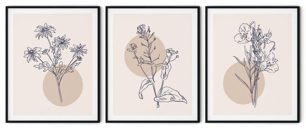 Boho learnt  concerning plants