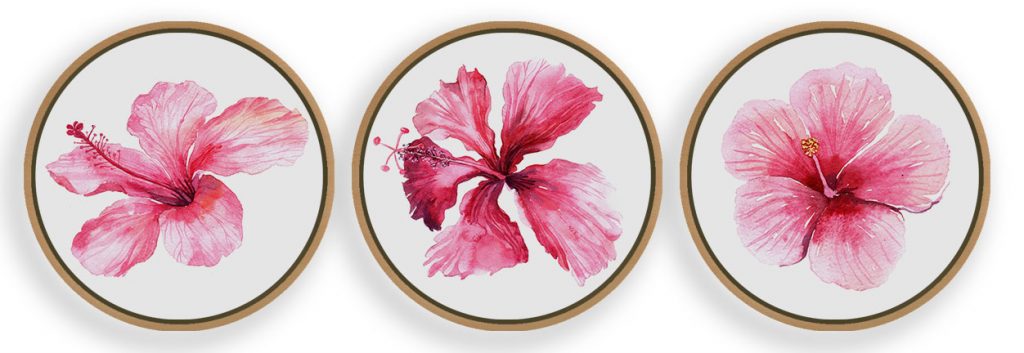 Set of 3 blush pink flowers