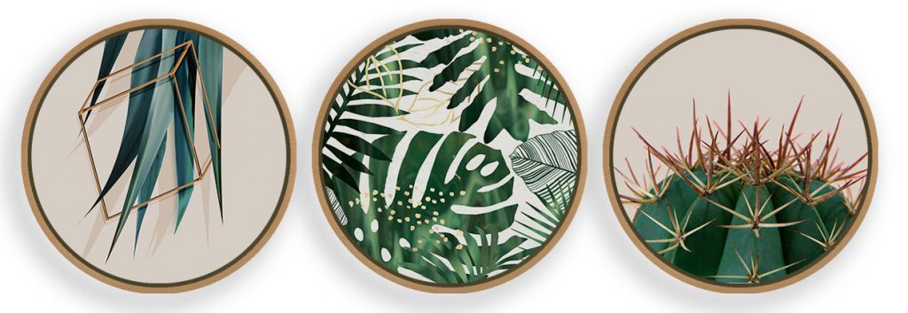 Set of 3 modern minimalistic botanical