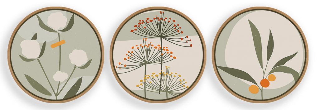 Set of 3 abstract flower and plant