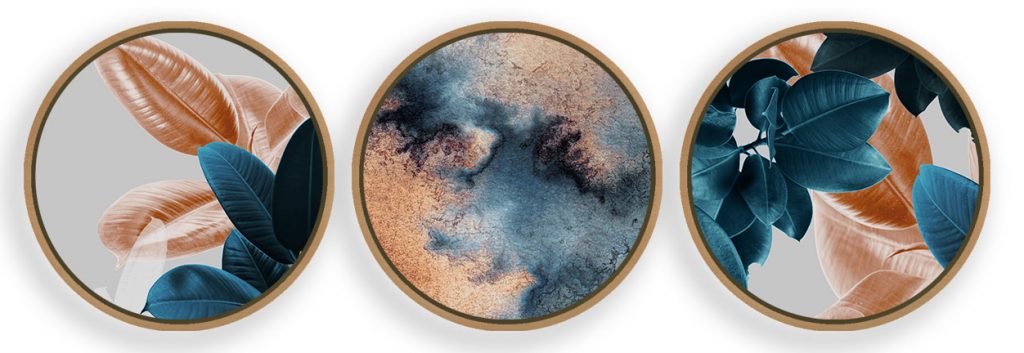 Set of 3 abstract rubber leaves botanical