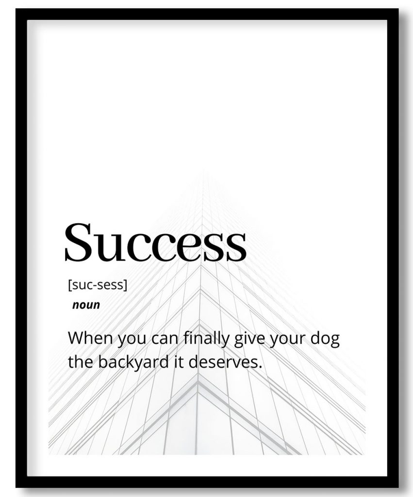 Success - Funny Dictionary definition