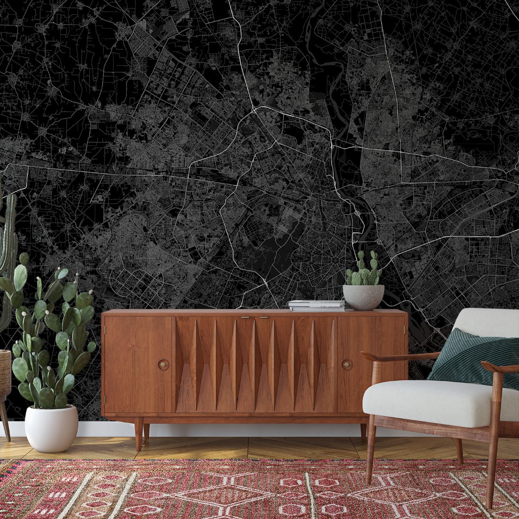 Delhi Map Wall Mural - Dark black, Mural Wallpaper, PVC Free, Non-Toxic