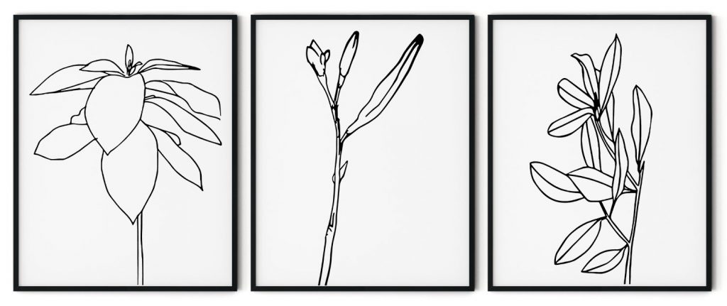 Matisse Line Drawing Framed Wall Art (Set of 3), Minimalist, Modern, Botanical art - Choose Size and Frame Color