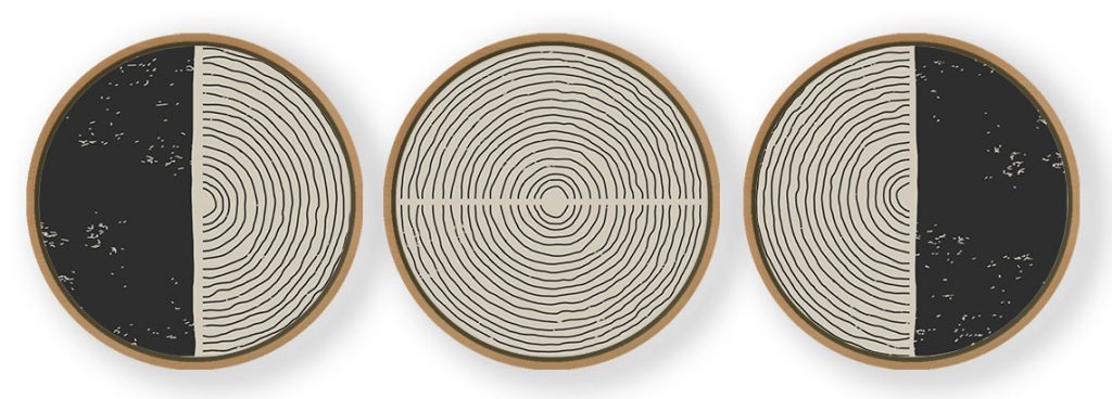 Set of 3 Trendy Outline Abstract - Circular Wooden Frames