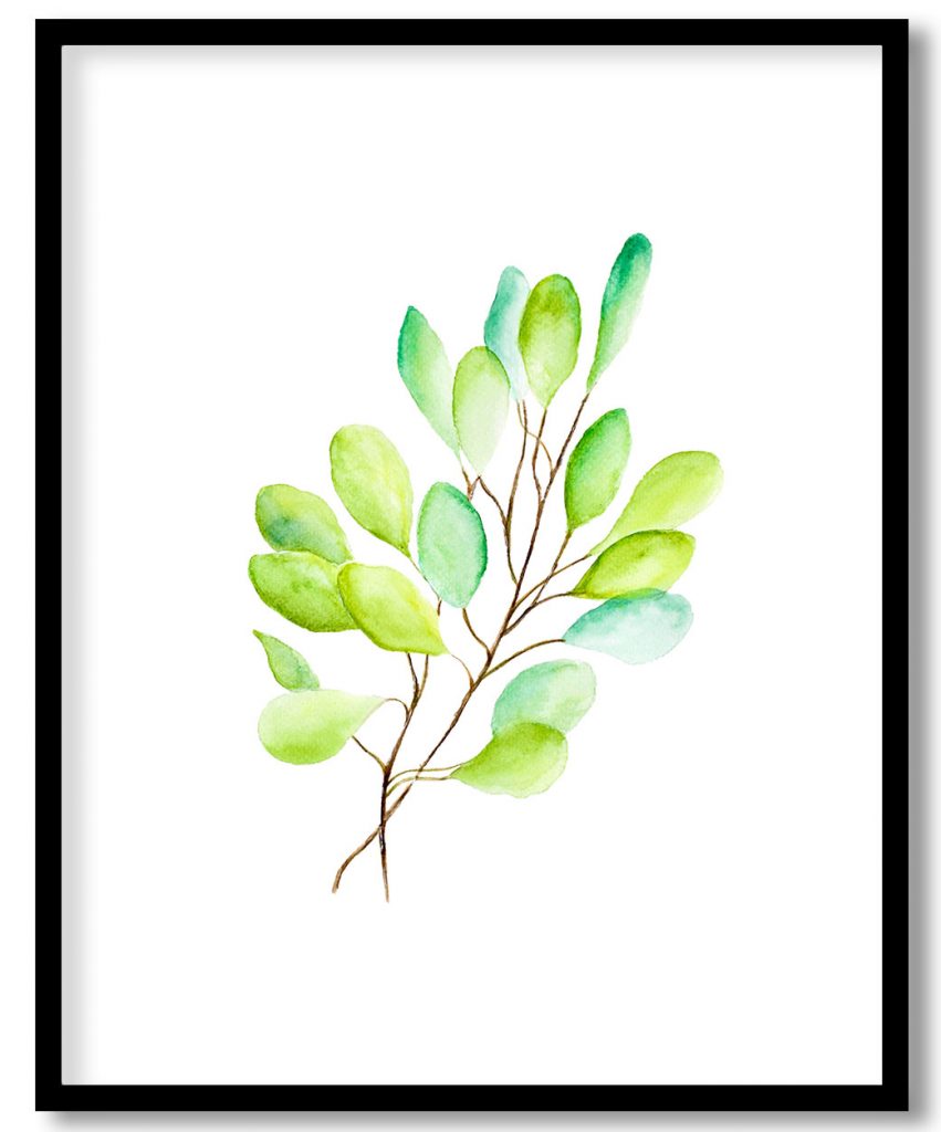 Watercolour Eucalyptus Type One