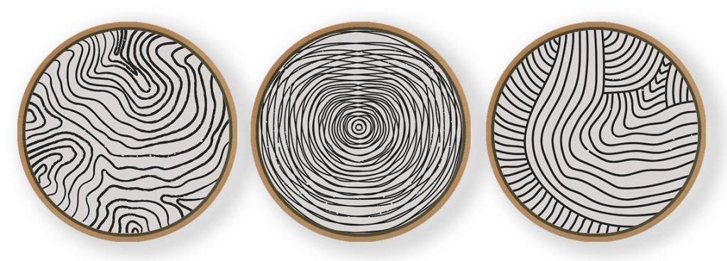 Set of 3 Trendy Outline Spots - Circular Wooden Frames