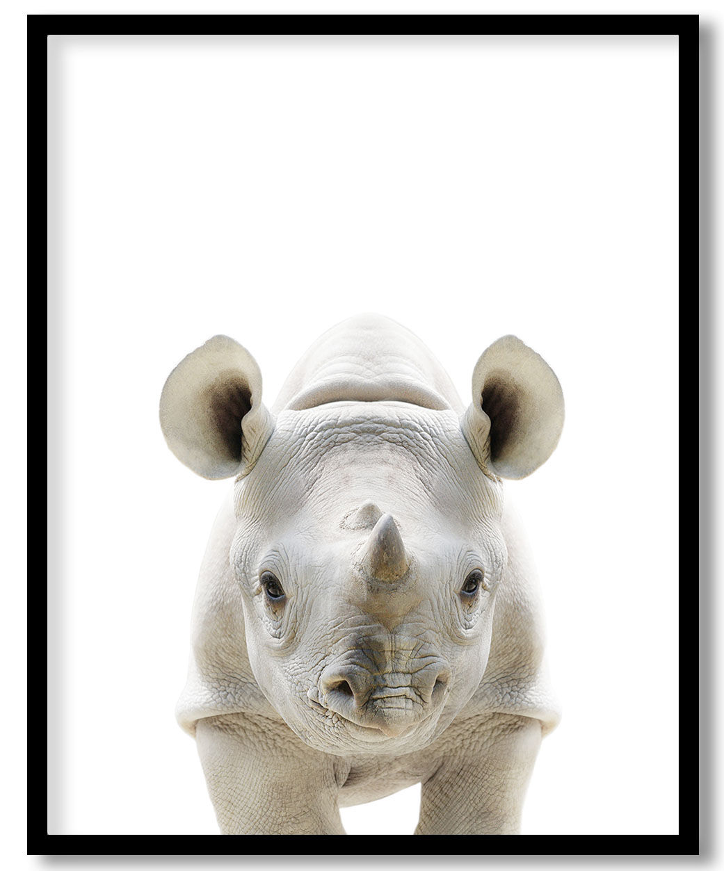 Baby rhino print, Wildlife prints, Safari nursery decor, Nursery animal