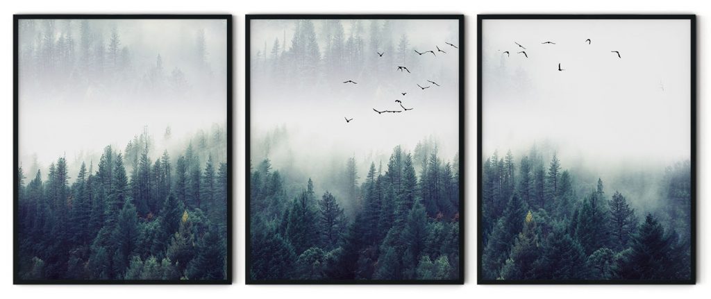 Set of 3 foggy forest and bird