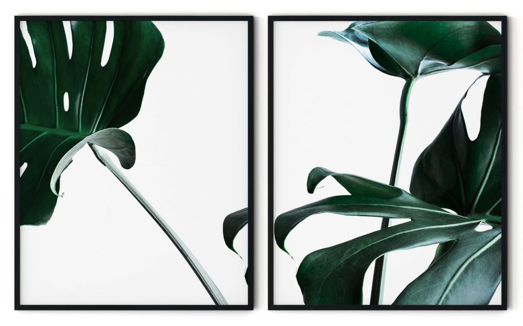 Monstera Abstract Framed Wall Art (Set of 2), Nature Art, Minimalist, Photography - Choose Size and Frame Color