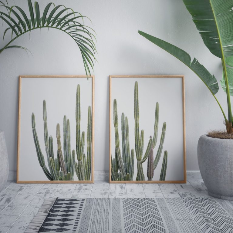 Cactus Framed Wall Art (Set of 2), Botanical Art, Nature Art, Modern