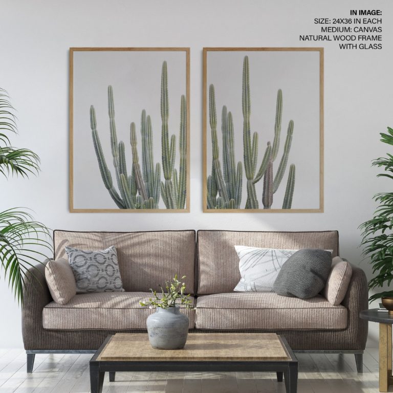 Cactus Framed Wall Art (Set of 2), Botanical Art, Nature Art, Modern