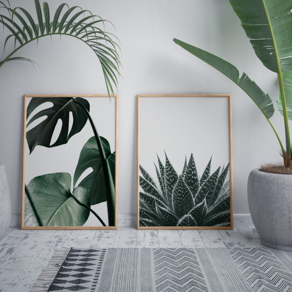 Botanical Monstera Leaf and Succulent – Wall Art