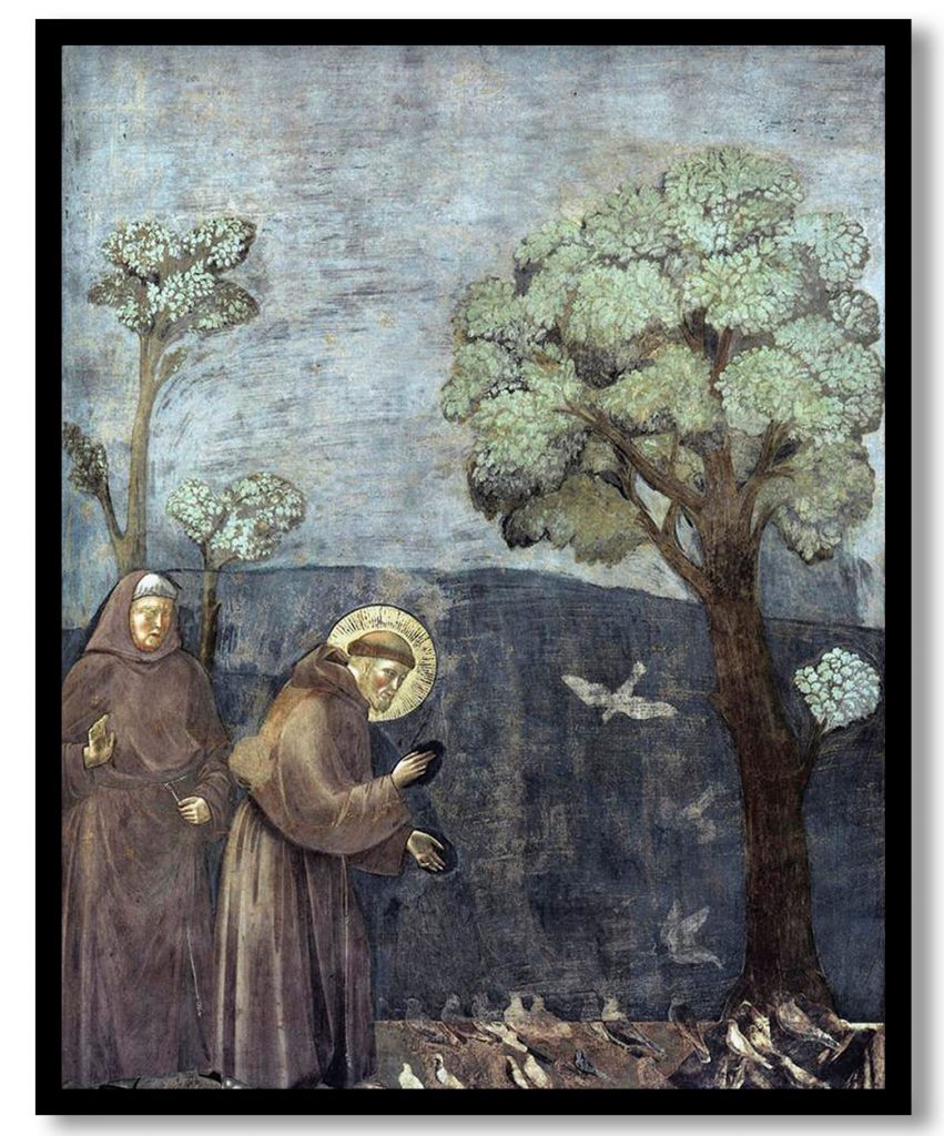 St francis preaching to the birds by Giotto (1297 299)