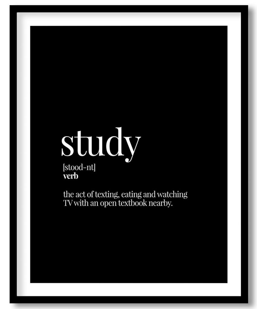 Study - Funny Dictionary Definition
