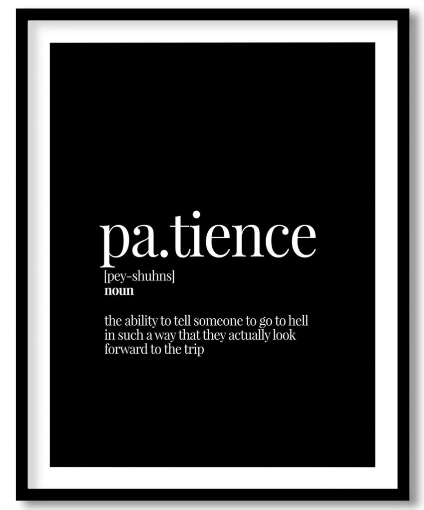Patience - Funny Dictionary Definition