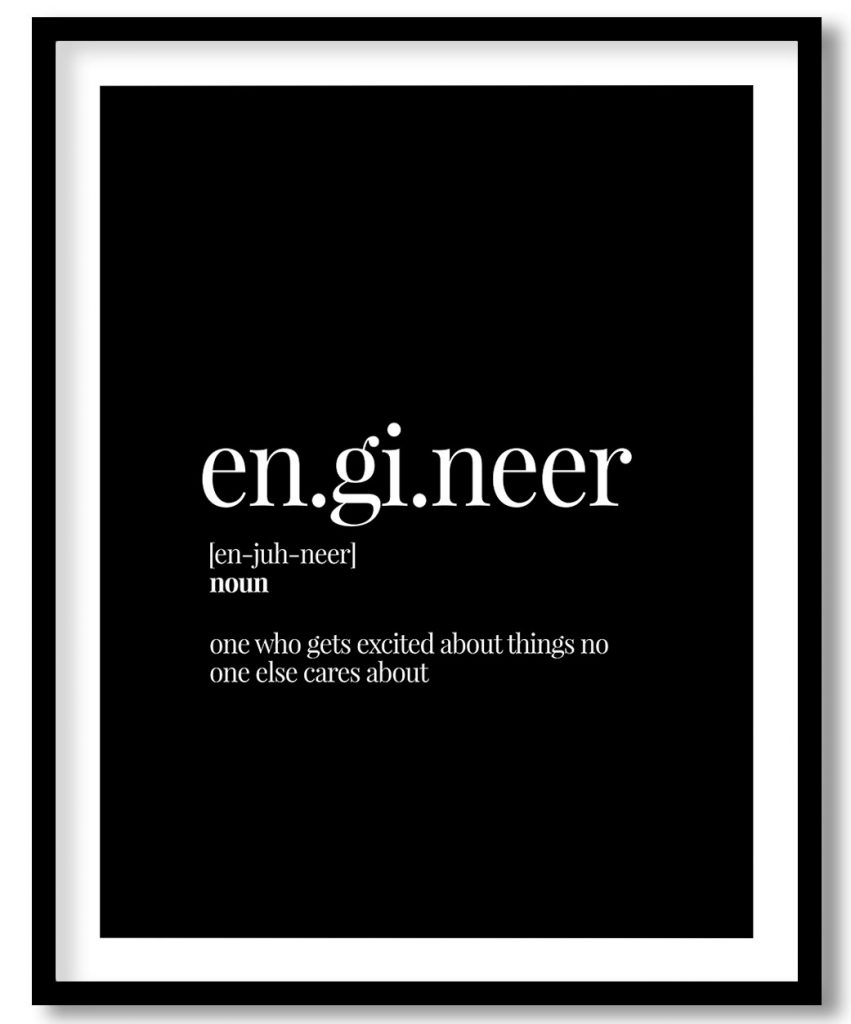 Engineer - Funny Dictionary Definition