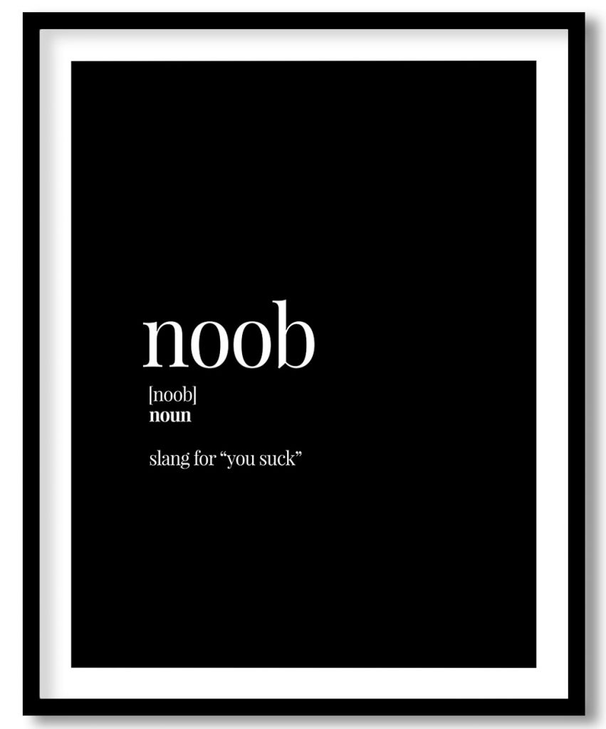 Noob - Funny Dictionary Definition