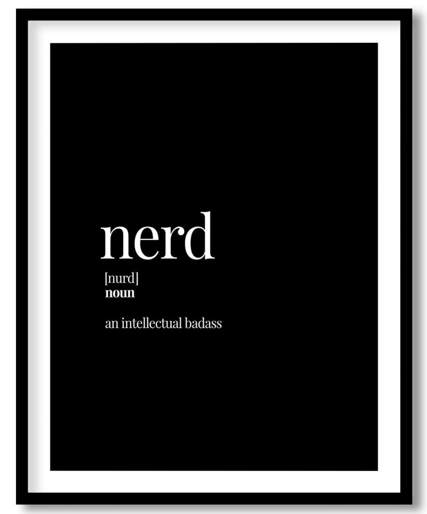 Nerd - Funny Dictionary Definition