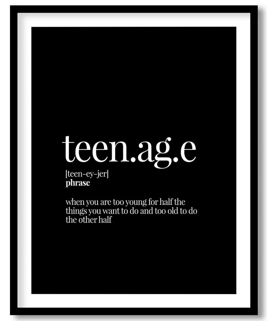 Teenager - Funny Dictionary Definition