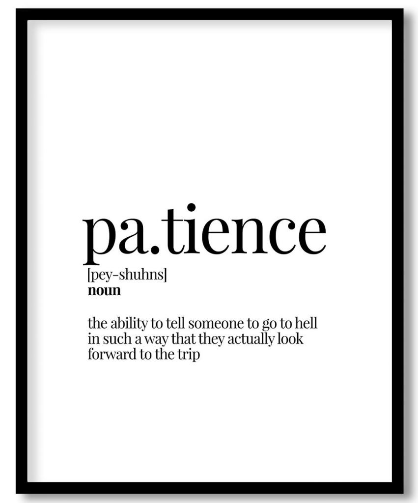 pa tience - Humorous Definition – Wall Art