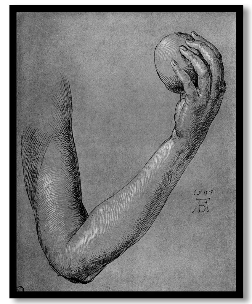 Arm of Eve by Albrecht Durer (1507)