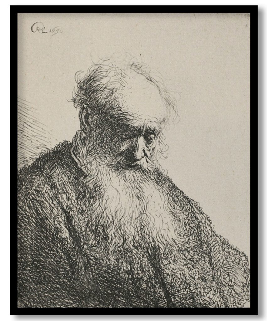 An Old Man with a Beard by Rembrandt (1630)