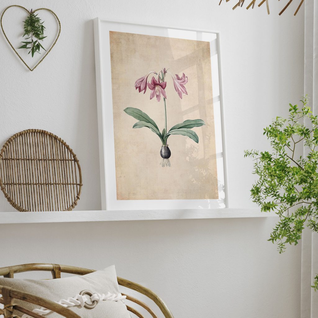 Botanical Pink Flower Bulb – Wall Art