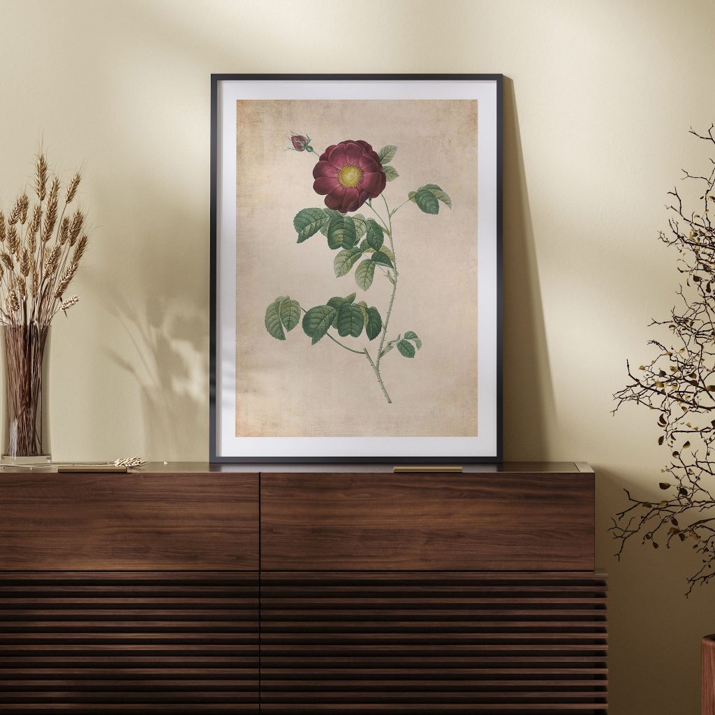 Botanical Dark Red Rose – Wall Art