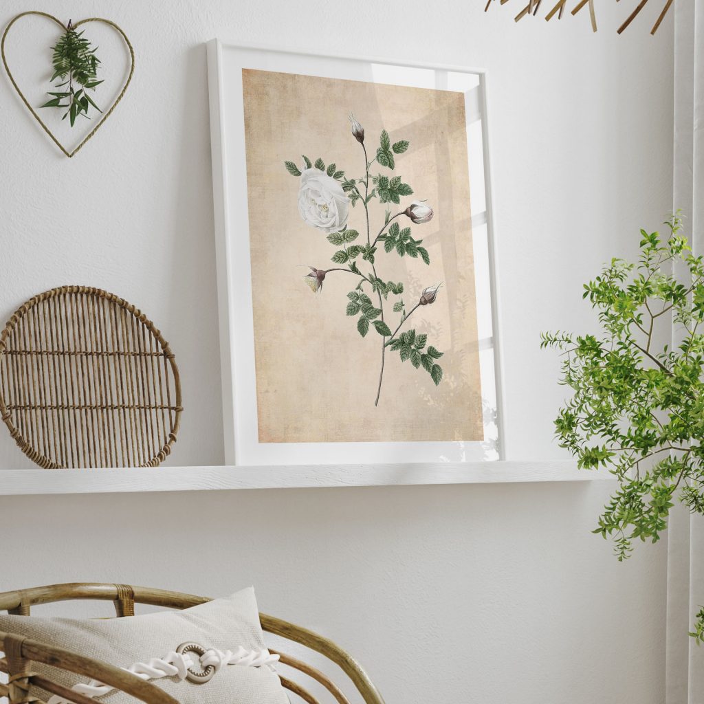 Botanical White Rose Buds – Home Decor