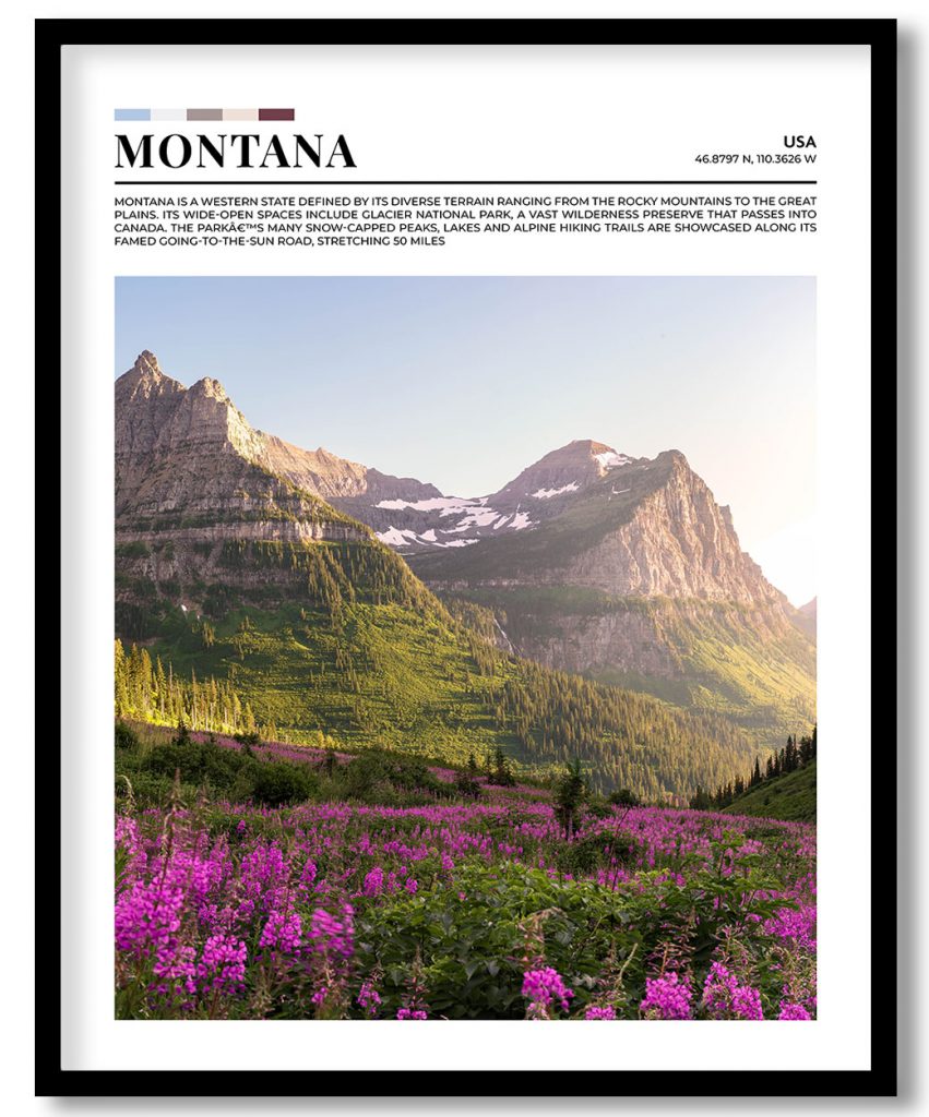 Montana, USA pantone poster