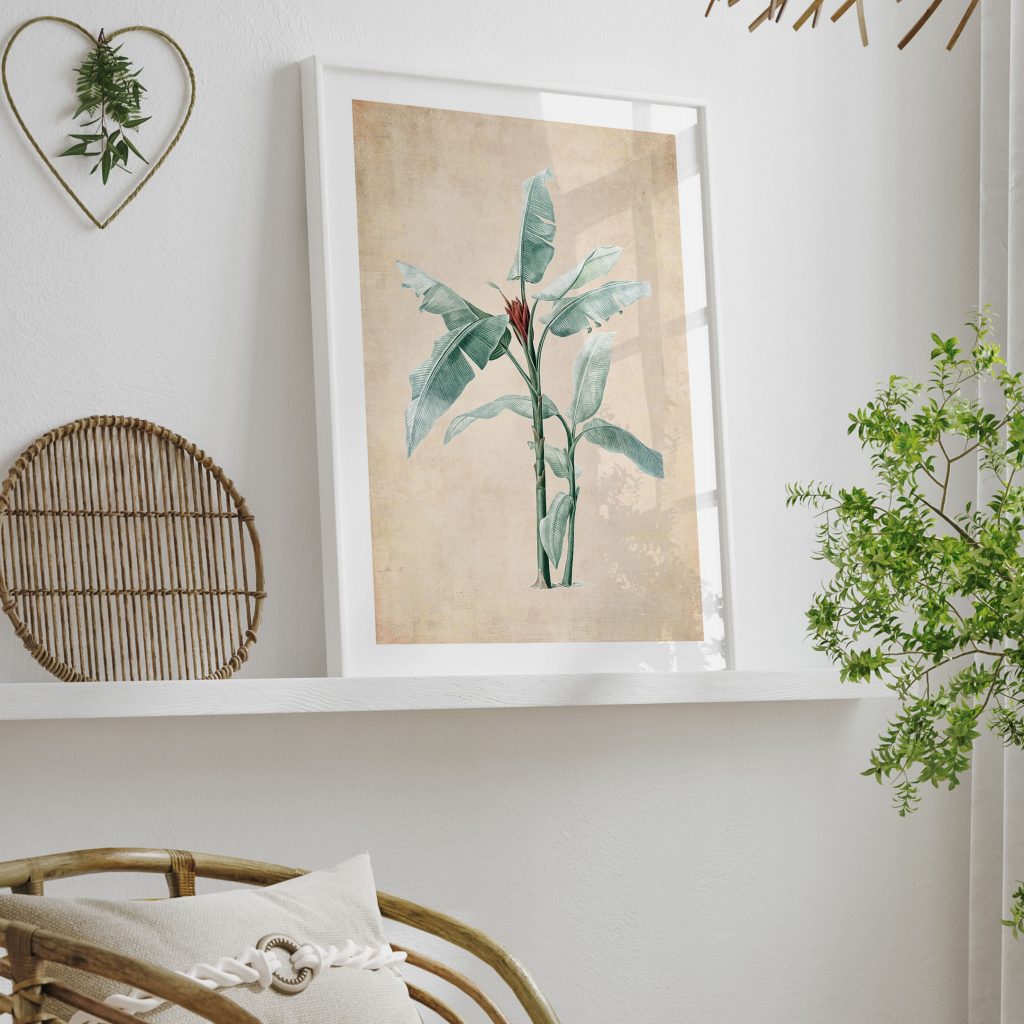 Botanical Banana Plant – Wall Art