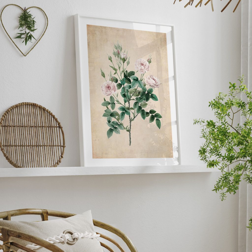 Botanical Pink Thorny Rose Branch – Wall Painting