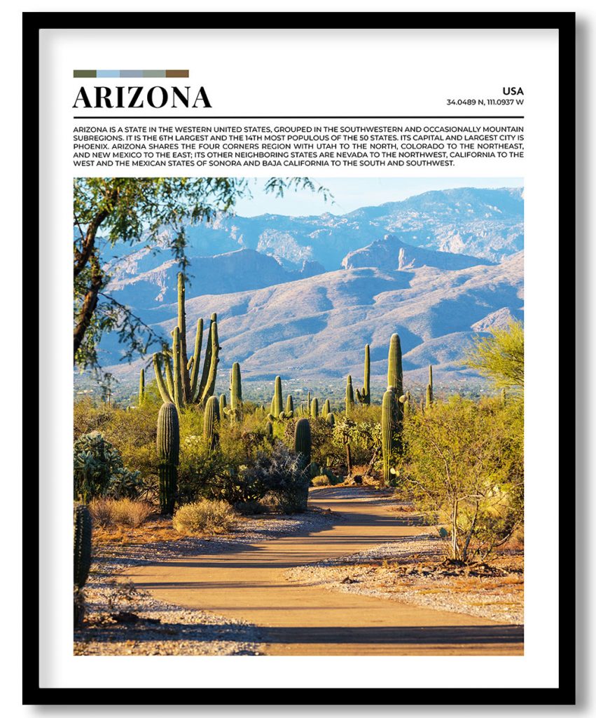 Arizona, USA pantone poster
