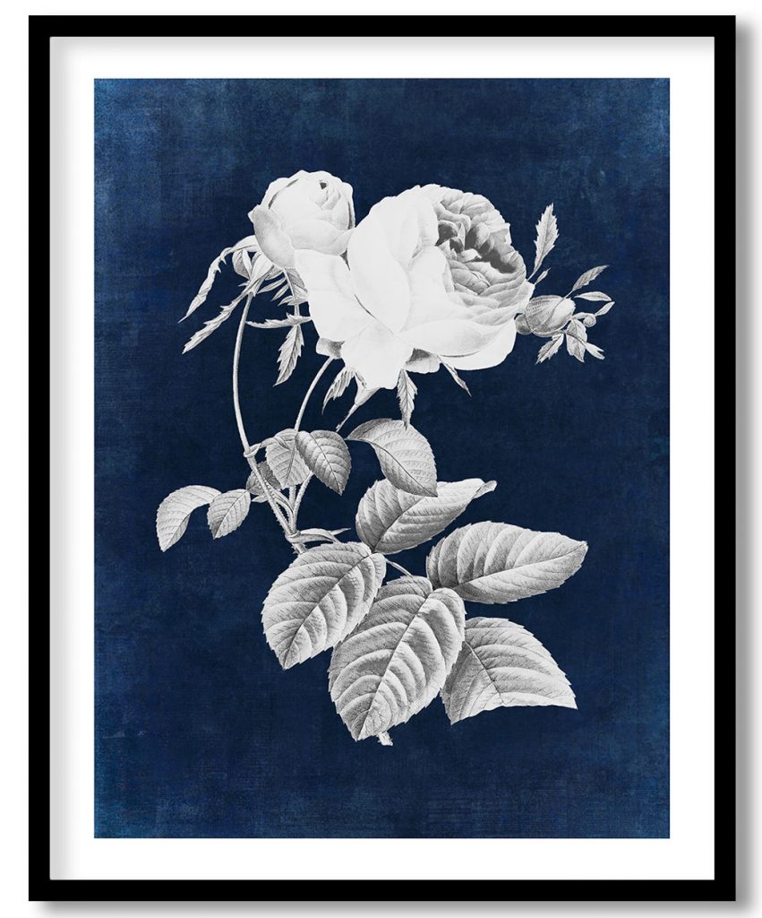 Cabbage rose flower #551 - Indigo Pressed