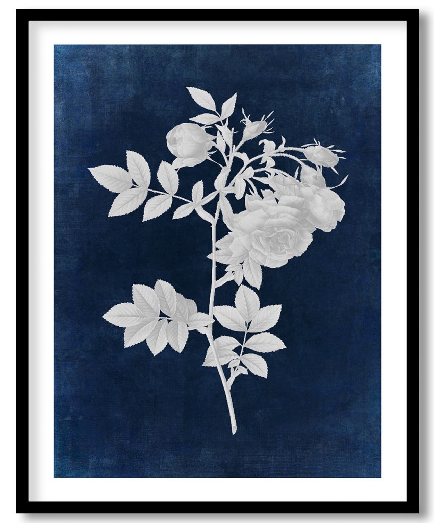 Turnip Rose - Indigo Pressed