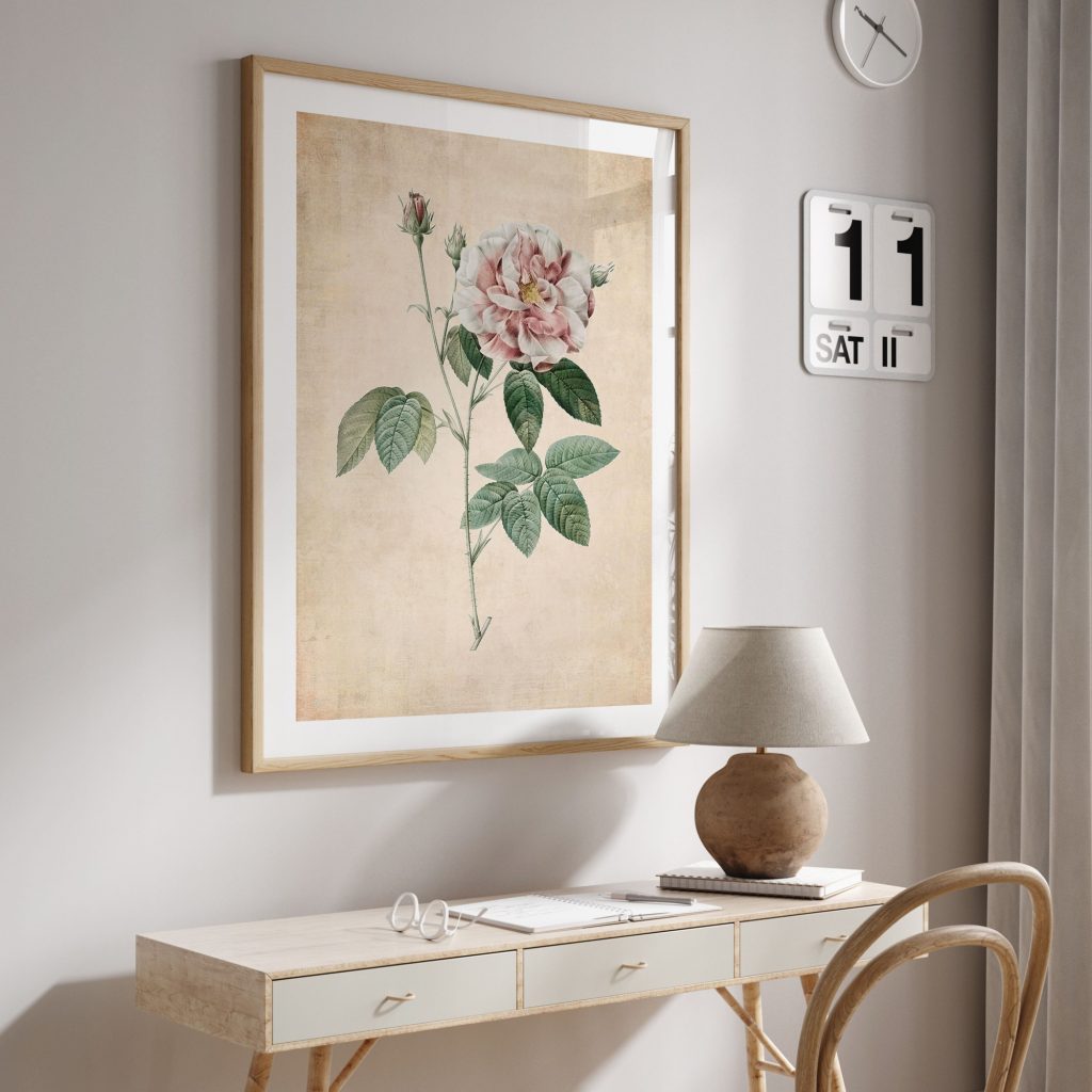 Botanical Vintage Rose Study – Wall Decor