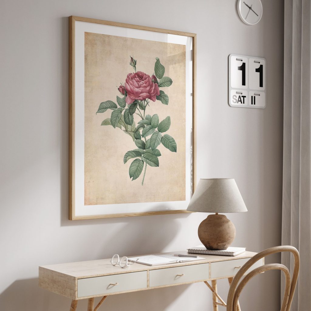 Botanical Vintage Pink Rose Illustration – Wall Painting