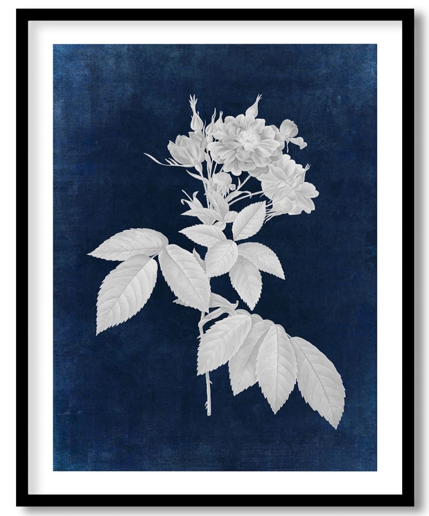 Boursault Rose - Indigo Pressed