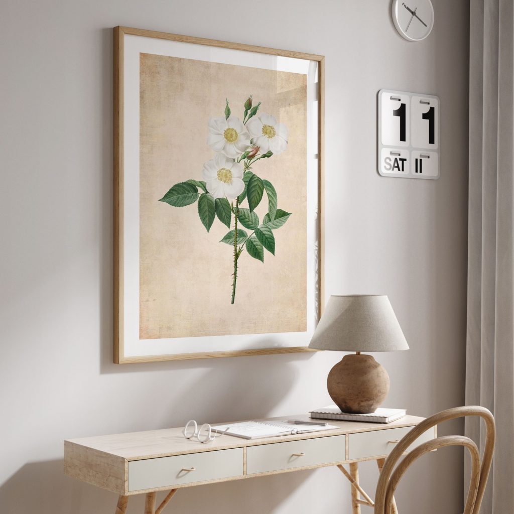 Botanical White Wild Roses – Wall Painting