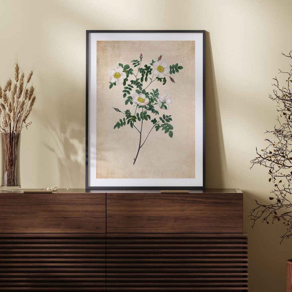 Botanical White Roses Green Leaves – Wall Art
