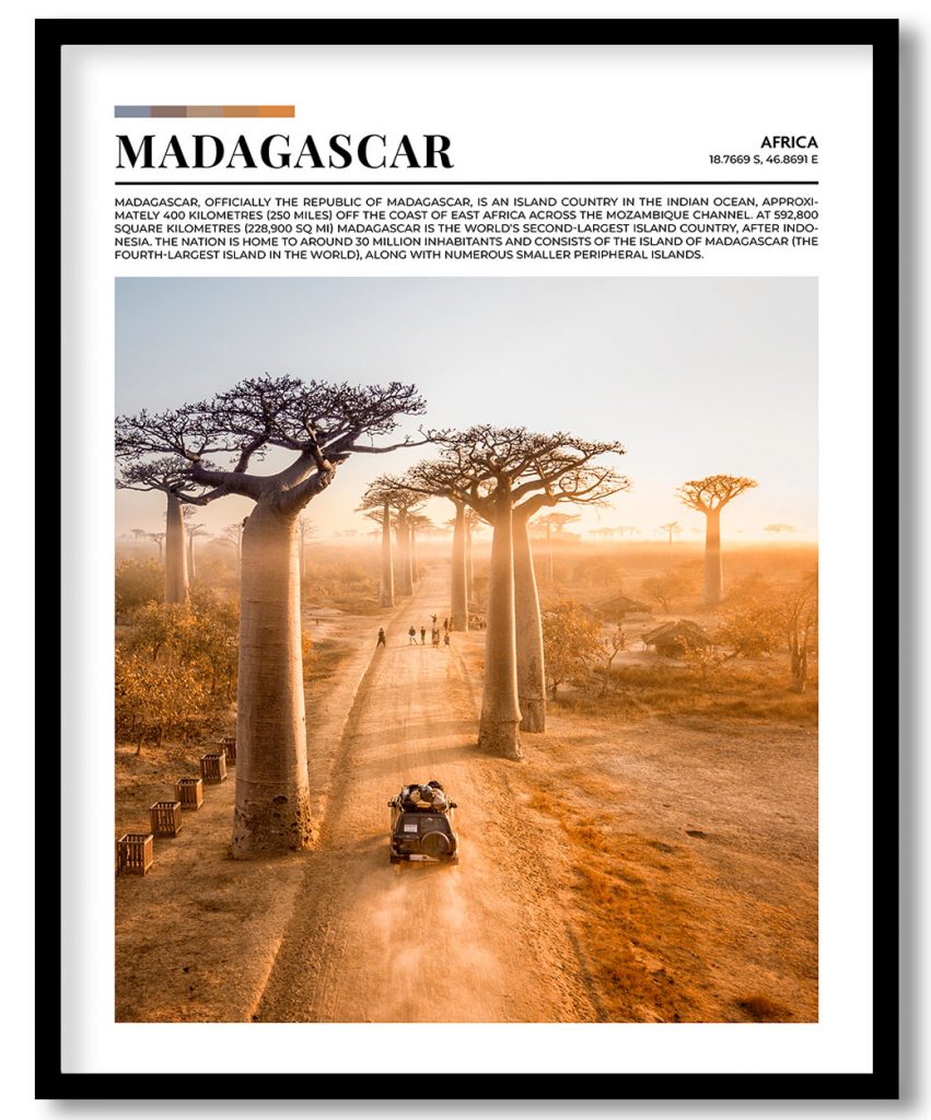 Madagascar, Africa pantone poster