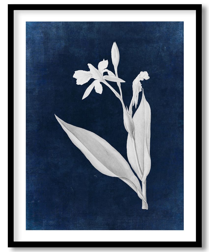 Bandana of the everglades - Indigo Pressed