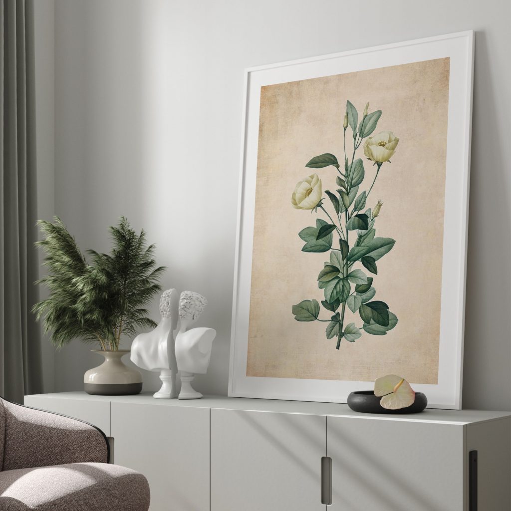 Botanical Vintage White Flowers – Wall Decor