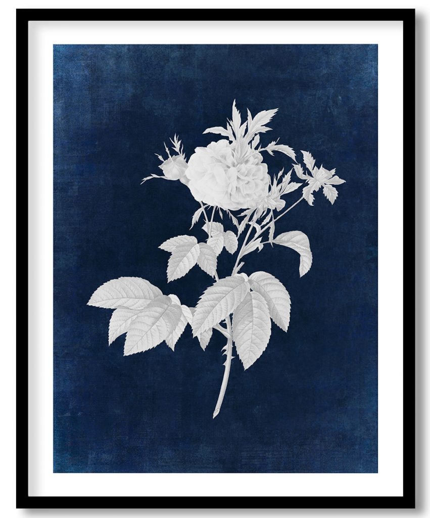 Agatha rose botanical - Indigo Pressed